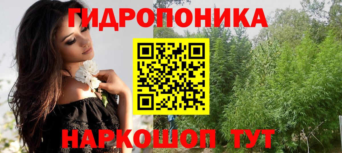 Канабис AK-47 Кашира